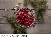 plate cranberries with pine forks. Стоковое фото, агентство Ingram Publishing / Фотобанк Лори