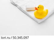 rubber duck soap copy space. Стоковое фото, агентство Ingram Publishing / Фотобанк Лори