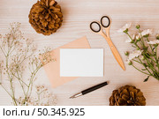 pinecone scissor aster baby s breath flowers fountain pen blank card wooden desk. Стоковое фото, агентство Ingram Publishing / Фотобанк Лори