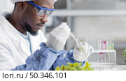 side view researcher biotechnology laboratory with plant test tube. Стоковое фото, агентство Ingram Publishing / Фотобанк Лори