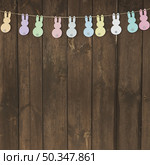 garland with paper rabbits wood. Стоковое фото, агентство Ingram Publishing / Фотобанк Лори