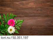 fern leaves gerbera flowers. Стоковое фото, агентство Ingram Publishing / Фотобанк Лори