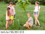 long shot kids plating tree. Стоковое фото, агентство Ingram Publishing / Фотобанк Лори