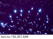 night blue extreme close up ferromagnetic metal. Стоковое фото, агентство Ingram Publishing / Фотобанк Лори