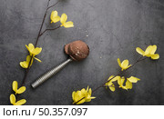 scoop with chocolate ice cream table. Стоковое фото, агентство Ingram Publishing / Фотобанк Лори