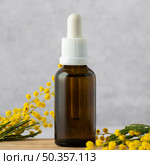 serum bottle plant arrangement. Стоковое фото, агентство Ingram Publishing / Фотобанк Лори