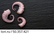 top view three small pieces octopus. Стоковое фото, агентство Ingram Publishing / Фотобанк Лори