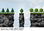 Business cross pollination  and corporate innovation as two different types of trees sharing assets to create a new tree as a financial symbol of individuals cooperating to create inovative solutions with 3D illustration elements. Стоковое фото, агентство Ingram Publishing / Фотобанк Лори