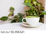 hot matcha green tea cup saucer white table. Стоковое фото, агентство Ingram Publishing / Фотобанк Лори