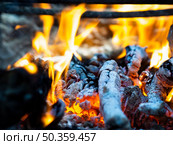 OLYMPUS DIGITAL CAMERA. bright fire flames smoldering coals bonfire. Стоковое фото, агентство Ingram Publishing / Фотобанк Лори
