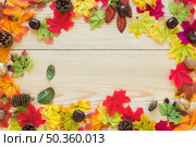 foliage snags wood board. Стоковое фото, агентство Ingram Publishing / Фотобанк Лори