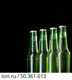 arrangement with delicious american beer. Стоковое фото, агентство Ingram Publishing / Фотобанк Лори