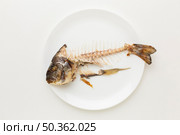 cooked fish leftovers white plate. Стоковое фото, агентство Ingram Publishing / Фотобанк Лори