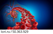 Heart blood circulation and cardiovascular system health symbol with red cells flowing through veins from the human circulatory system as a symbol of cardiology  with 3D illustration elements. Стоковое фото, агентство Ingram Publishing / Фотобанк Лори