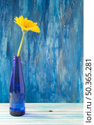 OLYMPUS DIGITAL CAMERA. yellow gerbera flower blue bottle wooden table against painted wall. Стоковое фото, агентство Ingram Publishing / Фотобанк Лори