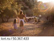 woman with her daughter herding sheep field. Стоковое фото, агентство Ingram Publishing / Фотобанк Лори