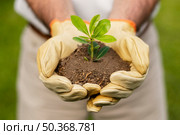 close up soil sprout 3. close up soil sprout 2. Стоковое фото, агентство Ingram Publishing / Фотобанк Лори