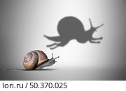 Aspiration metaphor and inner power concept as a symbol for motivational feeling to aspire to great skill as a slow snail with a shadow of a fast cheetah shape in a 3D illustration style. . Стоковое фото, агентство Ingram Publishing / Фотобанк Лори