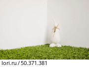 hare with bow figurine grass. Стоковое фото, агентство Ingram Publishing / Фотобанк Лори