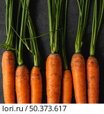 close up fresh carrots flat lay. Стоковое фото, агентство Ingram Publishing / Фотобанк Лори