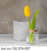 front view yellow tulip vase. Стоковое фото, агентство Ingram Publishing / Фотобанк Лори