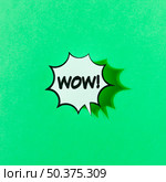 wow word pop art retro illustration green background. Стоковое фото, агентство Ingram Publishing / Фотобанк Лори
