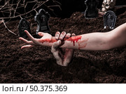 zombie holding bloody female hand halloween graveyard. Стоковое фото, агентство Ingram Publishing / Фотобанк Лори