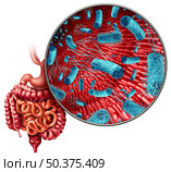 Microbiome in the gut as bacteria flora inside an intestine as a digestion symbol inside the intestinal tract with 3D illustration elements. Стоковое фото, агентство Ingram Publishing / Фотобанк Лори