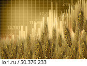 Rising Global Wheat and Flour prices and surging costs of baked goods as an inflation financial crisis concept with an increasing price with 3D illustration elements. Стоковое фото, агентство Ingram Publishing / Фотобанк Лори