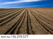 ploughed field ready to be cultivated. Стоковое фото, агентство Ingram Publishing / Фотобанк Лори