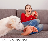 Woman drinking coffee on the sofa with her dog licking her toes. Стоковое фото, агентство Ingram Publishing / Фотобанк Лори