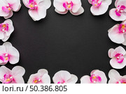 flat lay orchids frame. Стоковое фото, агентство Ingram Publishing / Фотобанк Лори