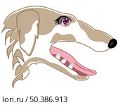 Mug of the dog of the sort greyhound type from the side. Стоковая иллюстрация, иллюстратор Шипицин Евгений Витальевич / Фотобанк Лори