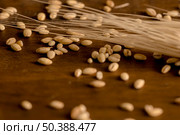 spike wheat granules scattered table. Стоковое фото, агентство Ingram Publishing / Фотобанк Лори
