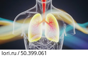An abstract representation of the human respiratory system. Lungs are highlighted with colorful waves flowing around the torso, symbolizing breath and vitality. Стоковое AI-видео, аниматор Ольга Невская / Фотобанк Лори