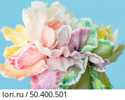 pretty macro bloomed flower 3. Стоковое фото, агентство Ingram Publishing / Фотобанк Лори