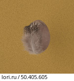 Grey painted egg with featheron yellow background. Стоковое фото, агентство Ingram Publishing / Фотобанк Лори