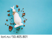chocolate pieces around bunny statuette. Стоковое фото, агентство Ingram Publishing / Фотобанк Лори