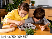 young boy girl home planting seeds. Стоковое фото, агентство Ingram Publishing / Фотобанк Лори