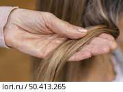 hairdresser holding tuft hair. Стоковое фото, агентство Ingram Publishing / Фотобанк Лори