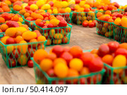 Organic tomatoes from a local market. Стоковое фото, агентство Ingram Publishing / Фотобанк Лори