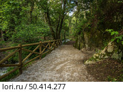 Surrounding landscape of the Estanislau fountain park and the Lourido river that divides the parishes of Arada and Maceda in the Municipality of Ovar, Portugal. Стоковое фото, агентство Ingram Publishing / Фотобанк Лори