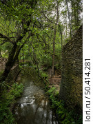 Surrounding landscape of the Estanislau fountain park and the Lourido river that divides the parishes of Arada and Maceda in the Municipality of Ovar, Portugal. Стоковое фото, агентство Ingram Publishing / Фотобанк Лори