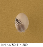 Chicken painted egg with featheron yellow background. Стоковое фото, агентство Ingram Publishing / Фотобанк Лори