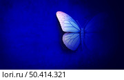 Abstract Butterfly On A Blue Background as a symbol of transformation and spiritual healing or rebirth in a lifecycle  in a 3d illustration style on white. Стоковое фото, агентство Ingram Publishing / Фотобанк Лори