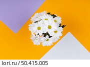 spring white flowers arrangement with empty cards. Стоковое фото, агентство Ingram Publishing / Фотобанк Лори