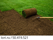 Gardener applying turf rolls in the backyard. Стоковое фото, агентство Ingram Publishing / Фотобанк Лори