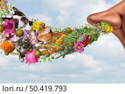 Respiratory allergies and allergy concept as allergen s from pets plants and mold being breathed in or inhaled by a large nose causing an allergic reaction with 3D illustration elements. Стоковое фото, агентство Ingram Publishing / Фотобанк Лори