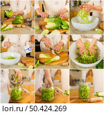 Picture collage about learning how to do kimchi and sauerkraut sour. Стоковое фото, агентство Ingram Publishing / Фотобанк Лори