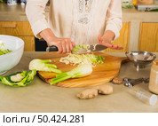 Preparing fermented preserved vegetables. Cabbage kimchi and sauerkraut sour cabbage. . Стоковое фото, агентство Ingram Publishing / Фотобанк Лори